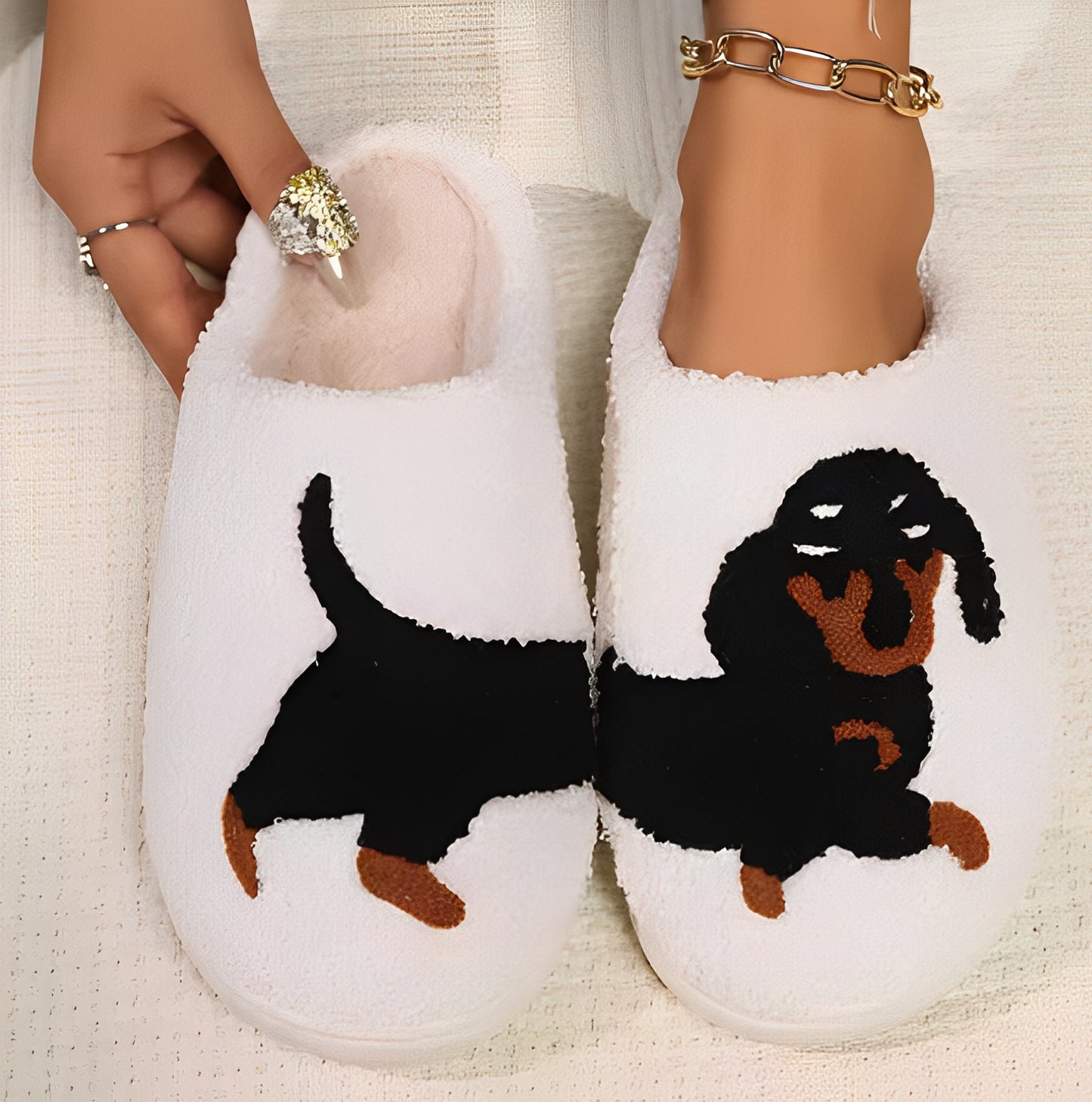 Matching Dog Slides