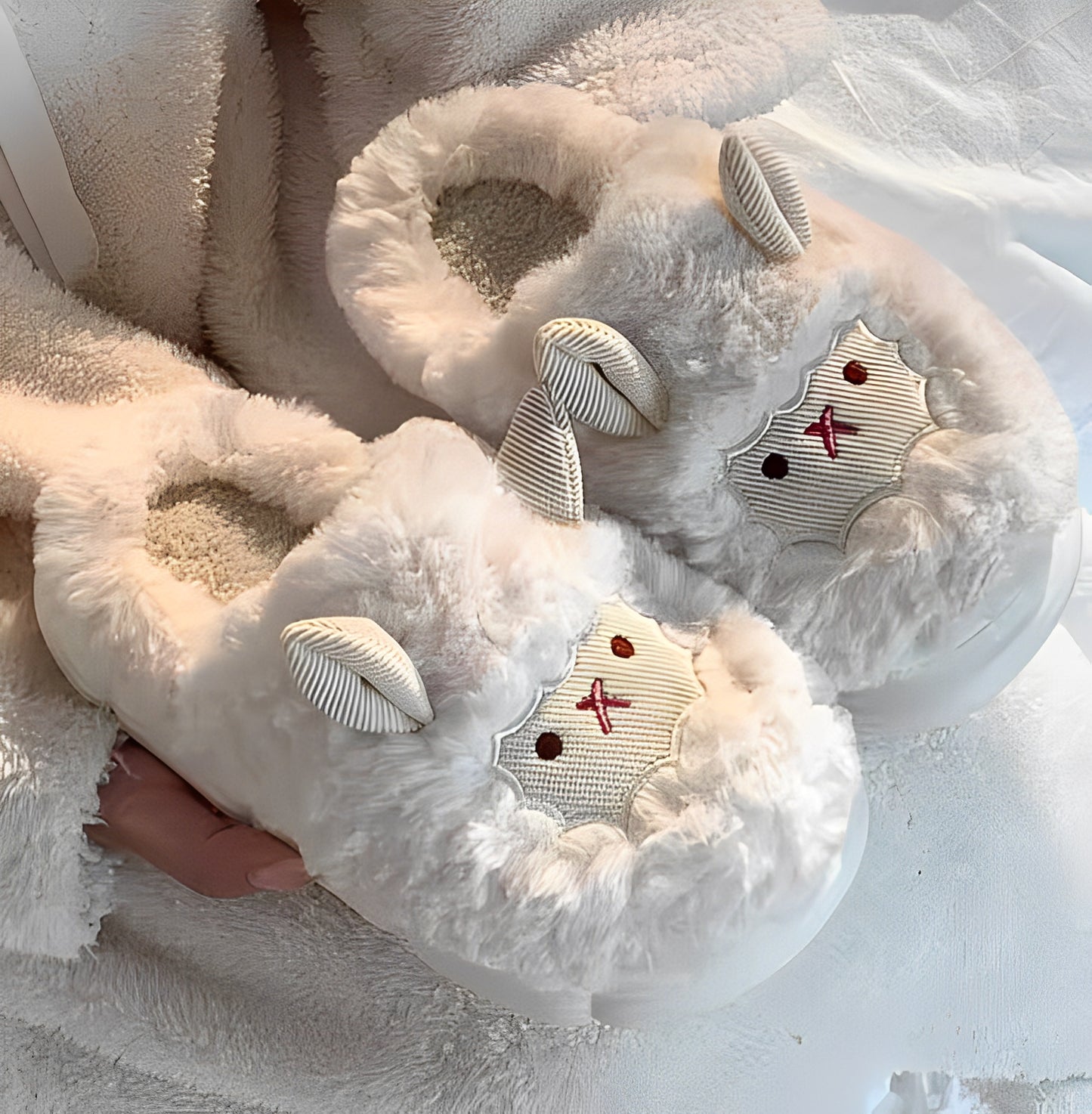 Sheep Slides